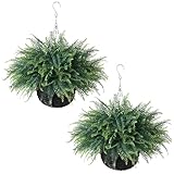 FOTEEWL Artificial Ferns Hanging Basket for Outdoor - 2 Sets Sun-Resistant Lifelike Plants Fake Fern Faux Greenery Bush for Porch, Home Garden, Farmhouse, Eaves, Yard Decor