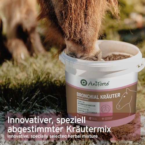 AniForte Bronchialkräuter Pferd 1kg - Natürliche Kräuter mit Methylcystein, bei Husten & Schnupfen, Atemwegskräuter Pferd als Ergänzungsfutter, Pferde Hustenkräuter für freie Atemwege
