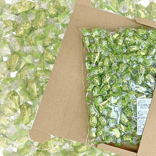 ~L[ VC}XJbg̃ptF e 500g ܖ2026.1 ܂Ƃߔ Ɩp TCY }XJbg LfB[ َq  Zbg 