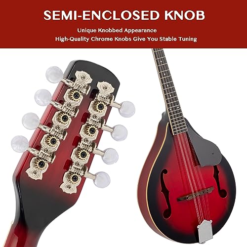 image for Ktaxon A-Style Mandolin Instrument Kit, 8 Strings Acoustic Mahogany Wo