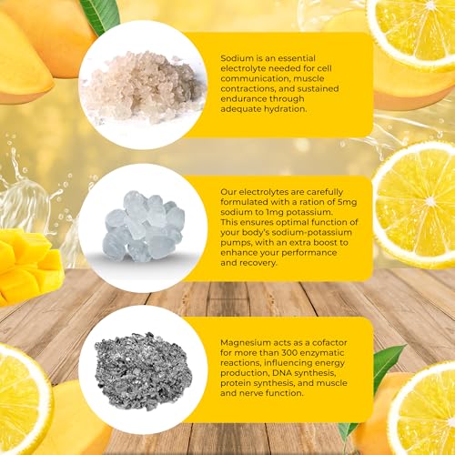 Image of Santa Cruz Paleo Electrolyte Powder, Mango Lemonade, Sugar Free Hydration Drink Mix with Himalayan Pink Salt, Sea Salt, Magnesium Glycinate, Potassium Chloride, Sweetened with Stevia, 30 Servings