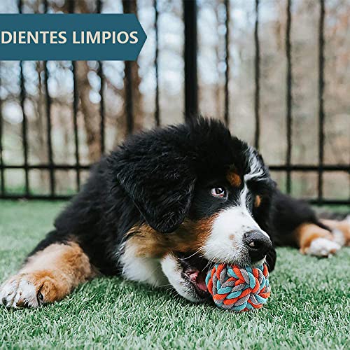 Juguetes Para Perro, Pet Products Imagen adicional
