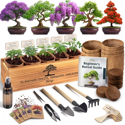 AVERGO Bonsai Tree Kit Deluxe - 5X Unique Japanese Bonzai Trees | Complete Indoor Bonsai Starter...