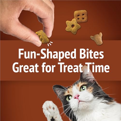 Purina Friskies Party Mix Wild West Crunch Cat Treats, (10) 2.1 oz Pouch - image 9