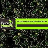 Pure Nature Harmony