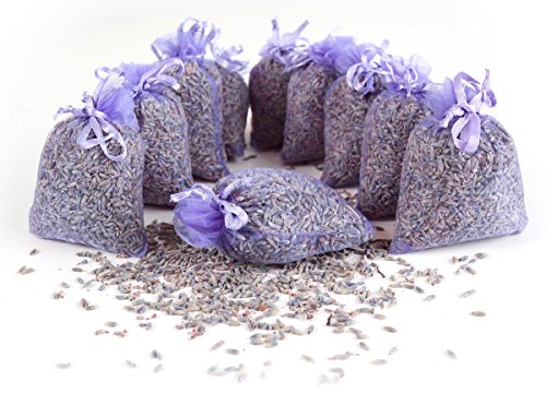 Quertee 5 bolsas de lavanda con auténtica lavanda francesa, en total 50 g de flores de lavanda Cover