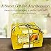 Chiostro Di Saronno Panettone Lemon Cream in Easter, Spring Collectible Tin Imported from Italy 750g