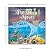 The Story of Moses (My First Bible Stories)