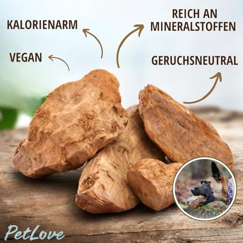 PetLove Kauwurzel für Hunde aus Baumheide • Natürliches Kauspielzeug hypoallergen • Kauknochen ohne Zusätze, ohne Kalorien, ohne Chemie • Größe: XS (50-124g) • Für Welpen