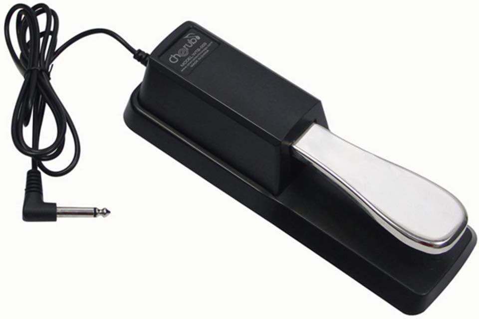 Universal Sustain Pedal Foot Pedal Piano Style with Polarity Switch for