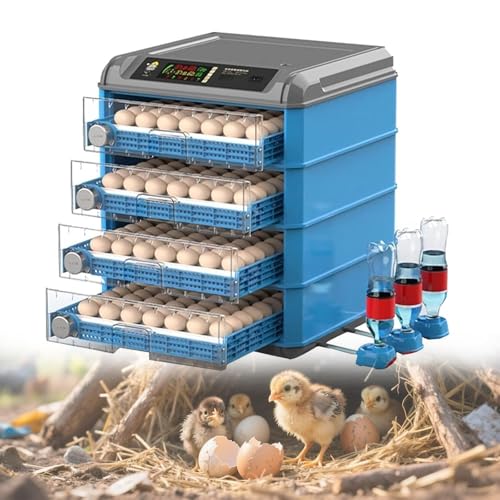 Incubateur d'œufs automatique anti-perte avec écran LED de contrôle d'humidité