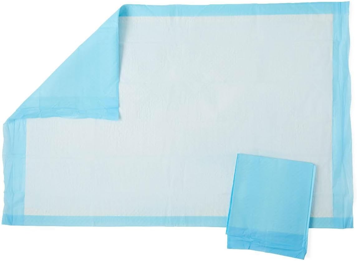 E-Q's 600-23x36 Economy Quilted 4-Layer Extra Absorbent Puppy Training Pads 38 Grams