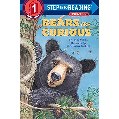 Bears Are Curious