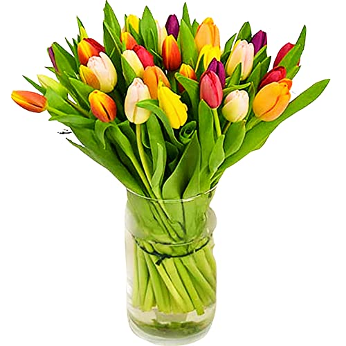 Tulip Selection Hand-Tied, Beautiful Fresh Flowers, A Perfect Mother's Day Fresh Flower Gift