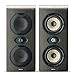 Focal Shape Twin 2x5