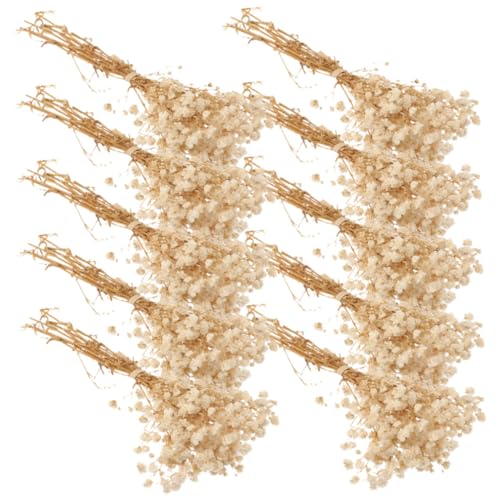 Ramo Mini Flores Secas Babysbreath x10 Pack miniatura 1