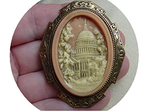 Washington D.C. Itol Building Peach Cameo Oval Pendant Jewelry Brooch Sparkling Rhinestone Women Brooch Crystal Pin Vintage Brooch Pin for Women Costume Accessory