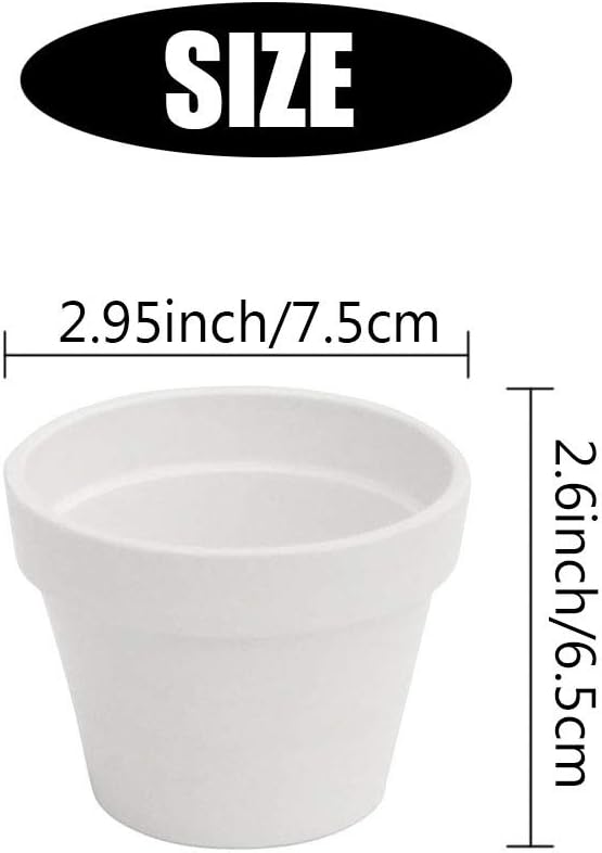 XXYXXY 3in / 40pcs Modern White Unglazed Terracotta Indoor Flowerpot, Drainage Hole, Round, Solid, 1 Count, 1 Level