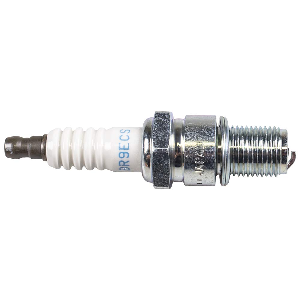 spark Motorcraft Spark Plug - SP589, Key Chains - Amazon Canada