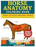 Horse Anatomy Coloring Book for adults: Self test Equine Anatomy coloring workbook a perfect gift for Veterinary students, equestrians and adults