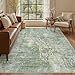 Soalmost Area Rug 6x9 Abstract Rugs for Living Room 6 x 9 Washable Rugs Green Non Slip Low Pile Rugs for Bedroom Dining Room Foldable Thin