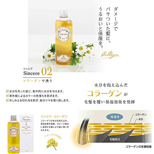 Amazon | シャンプー エイジングケアシャンプー シンシア sincere02 