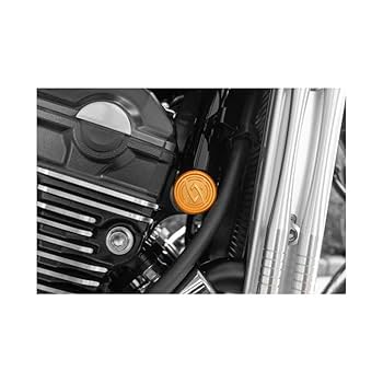 Amazon.co.jp: PMC ARCHI Logo Plug Gold Frame Front Z900RS