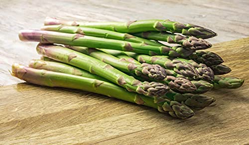 Image of Asparagus, Mary Washington, Heirloom, 25+ Seeds, Tasty Healthy Veggie