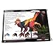 Beasts of the Mesozoic: Dilong Paradoxus -1/6th Scale T-Rex Dinosaur Action Figure, 12