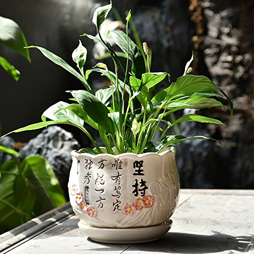 植木鉢、8.6インチの円筒形のセラミック植木鉢、受け皿付き、多肉植物や小さなサンショウウオ用のセラミックプランター、G