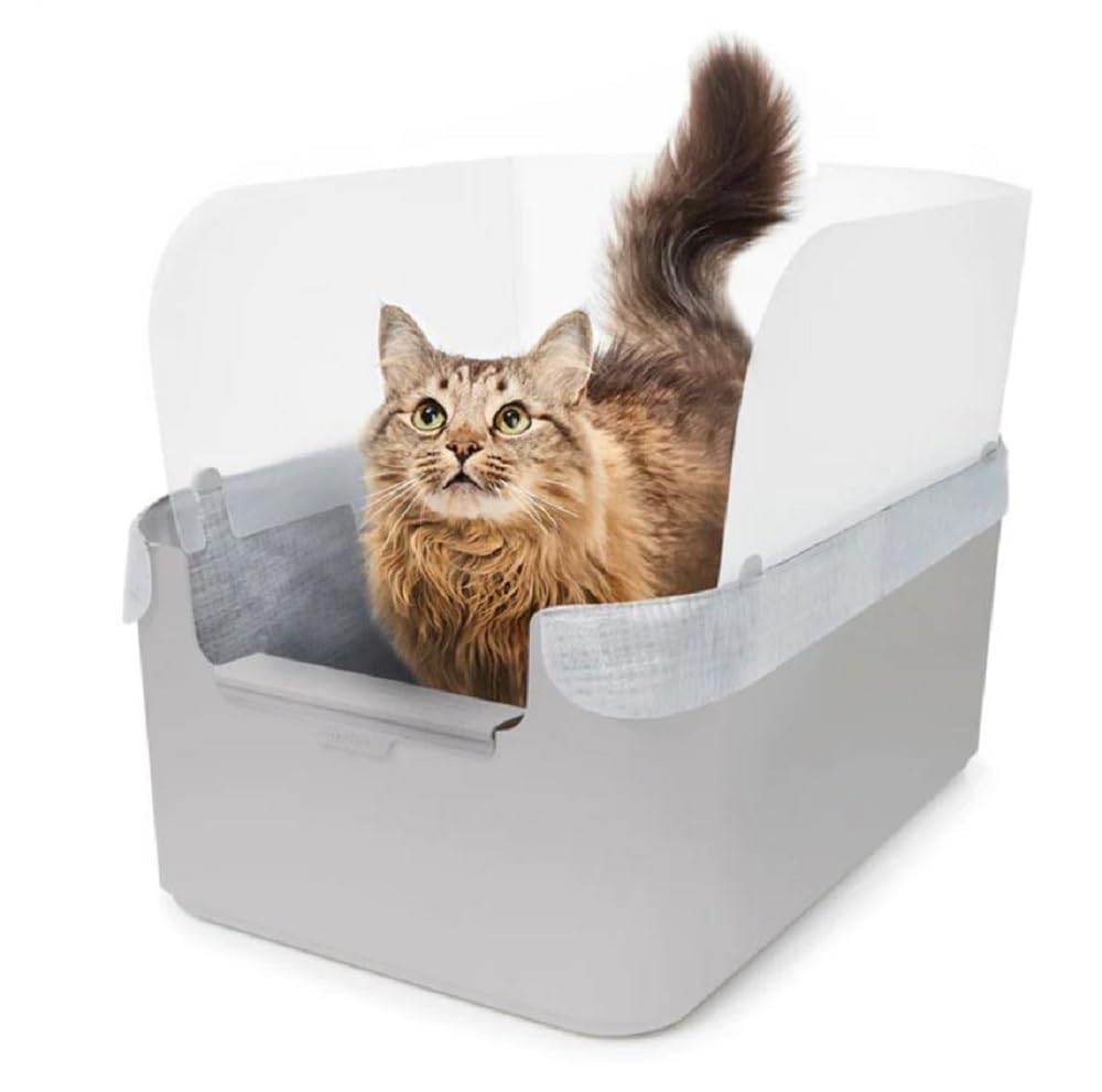 Amazon.co.jp: Modkat(モデキャット) リタートレイ グレー : 文房具