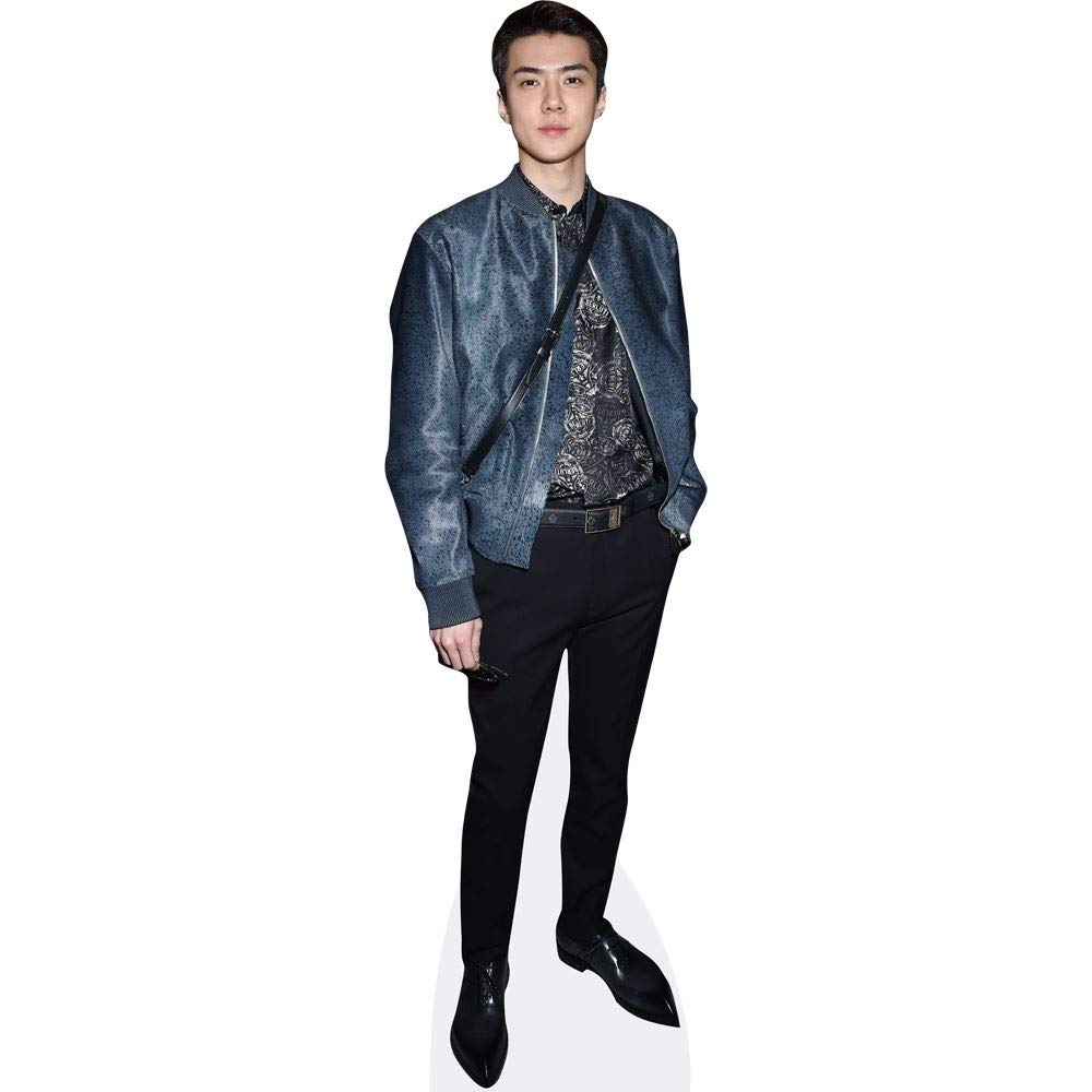 Sehun (Jacket) Mini Size Cutout