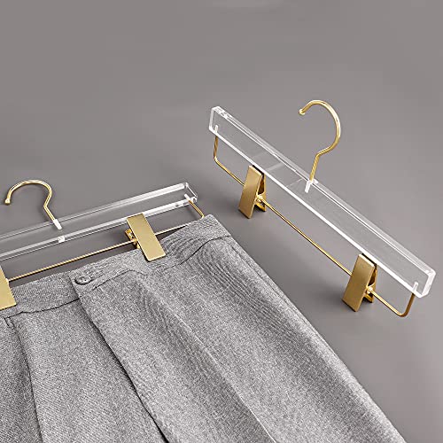 Besser 10 Pack Gold Acrylic Hangers,Clear Hangers With Gold Hooks,Luxurious Skirt Pants Hangers Gold Clips For Clothing & Closet Storage #TOP2