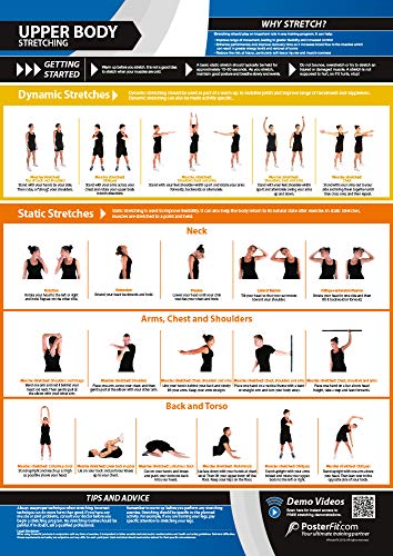 Upper Body Stretching Gym Poster - EXTRA LARGE 33&rdquo; x 23.5&rdquo; - Laminated - Dynamic & Static...