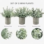 Plantes artificielles décoratives en pots 3 - Mini Plantes en pot: Eucalyptus en plastique, Feuilles de Chrysanthemum, gazon Jade Leaf. Faux intérieur pour bureau, Table à café, Mur, Décoration de chambre