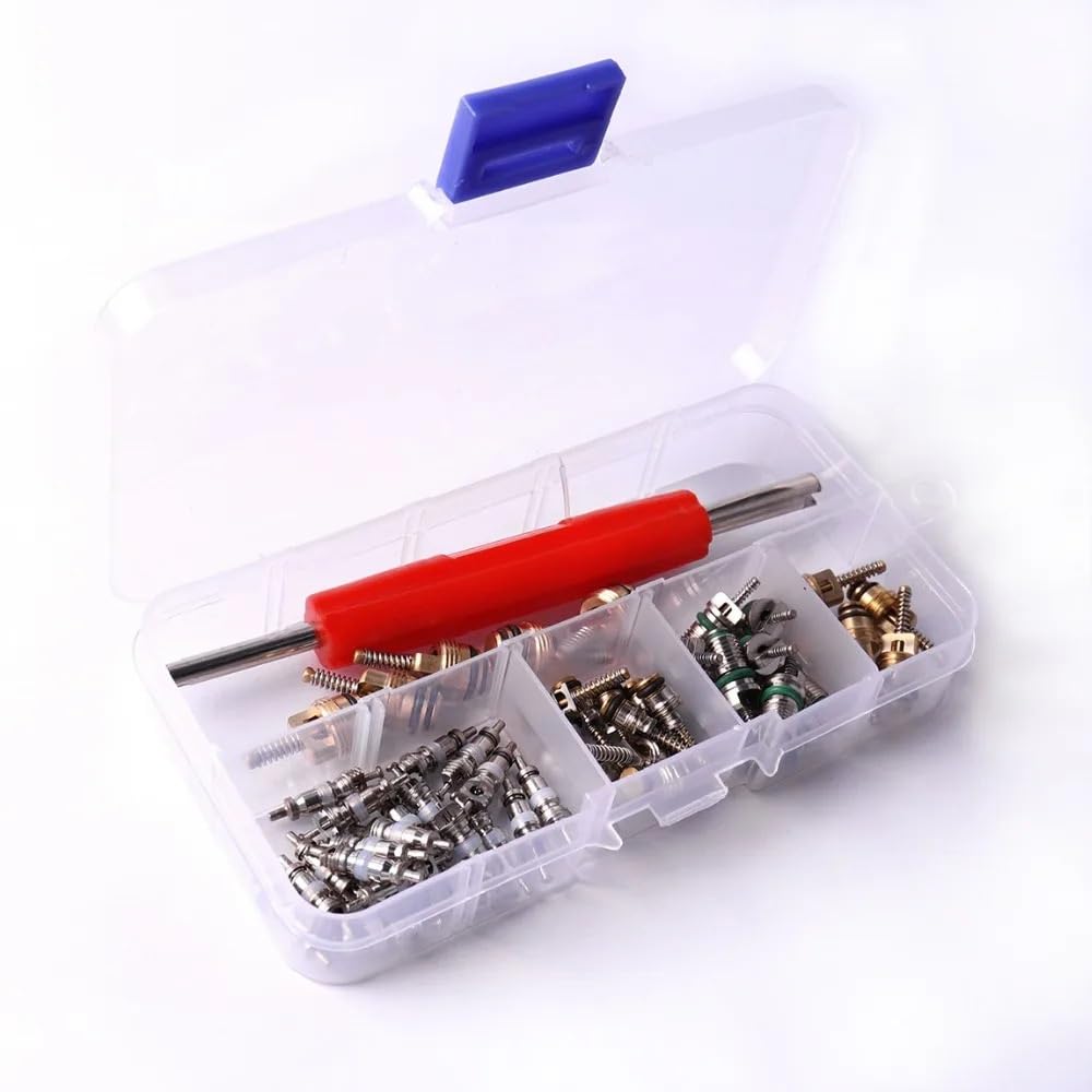 50Pcs Auto A/C Klimaanlage R12/ R134A Ventil Kerne Auto Auto Klimaanlage Reparatur Ventil Sortiment Entferner