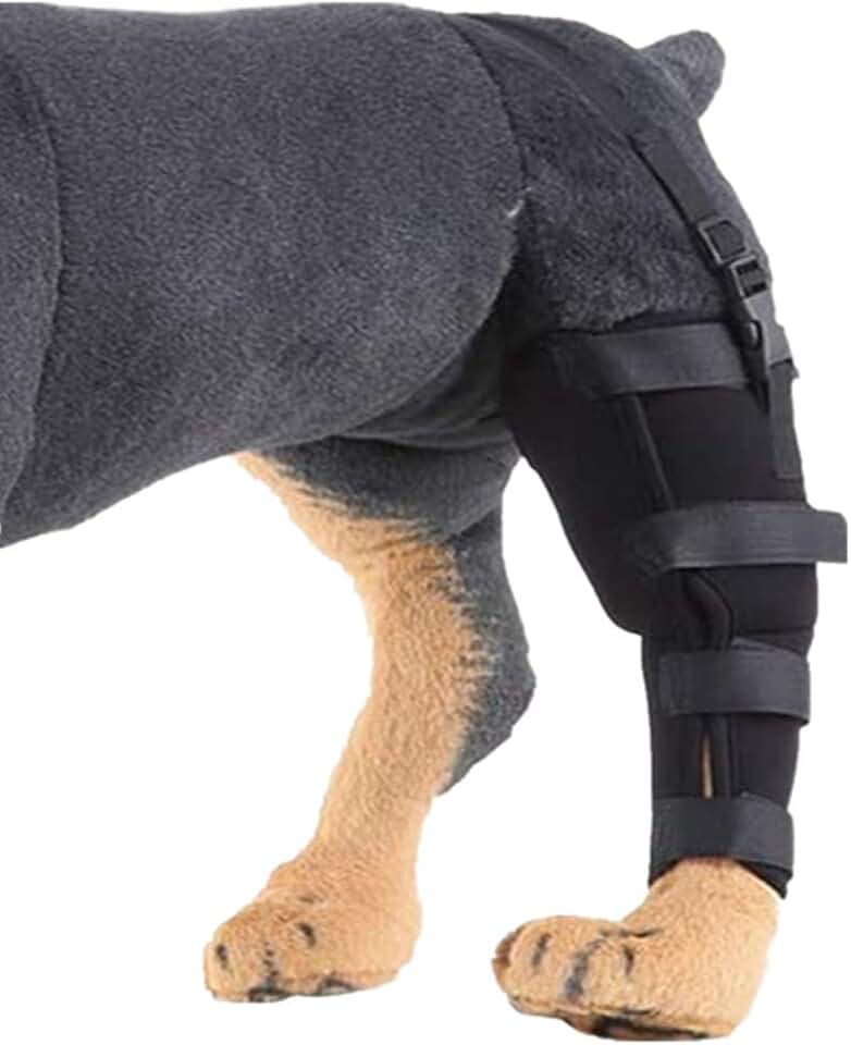 dog knee brace for torn acl hind leg