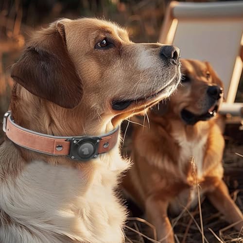 Halsband Hund Leder mit Air Tag Halter, Airtag Hundehalsband IPX8 Wasserdicht, Handgefertigt, Weich und Bequem, Reflektierend, Verstellbare Polsterung, Geeignet für Mittlere Große Hunde (Braun, XL)