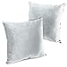 ITD HOME - 2 Fundas Cojines de Terciopelo para Sofás, Fundas Cojines 45 x 45cm Talla Unica, Funda de Almohada para Camas, Coches, Salones, Sillones (Blanco Pegamento)