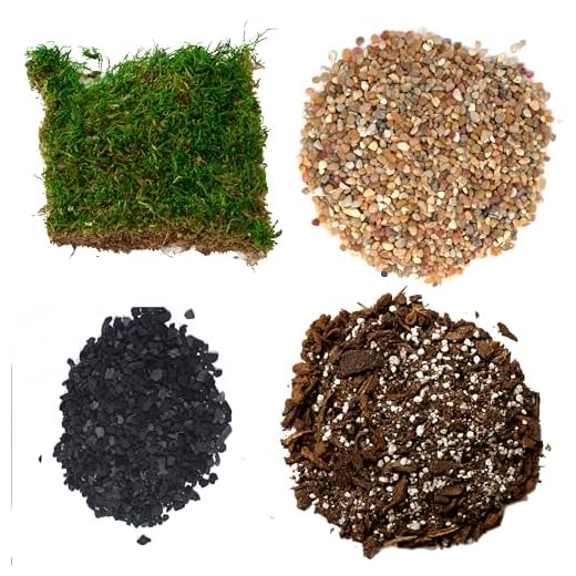 TerraGreen Creations Succulent Planter Kit - Terrarium Kit with Succulent Soil, Gravel, Pebble, Moss,