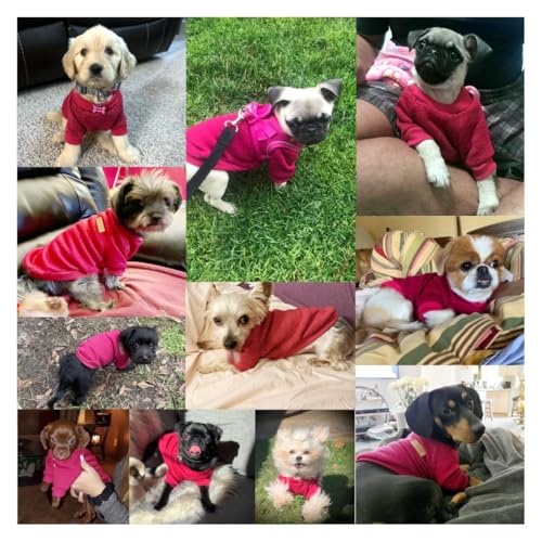 Image of Small Dog Sweater Warm Winter Puppy Pet Coat Soft Sweater Clothes for Small Dogs Outfit (XS, Wine red)