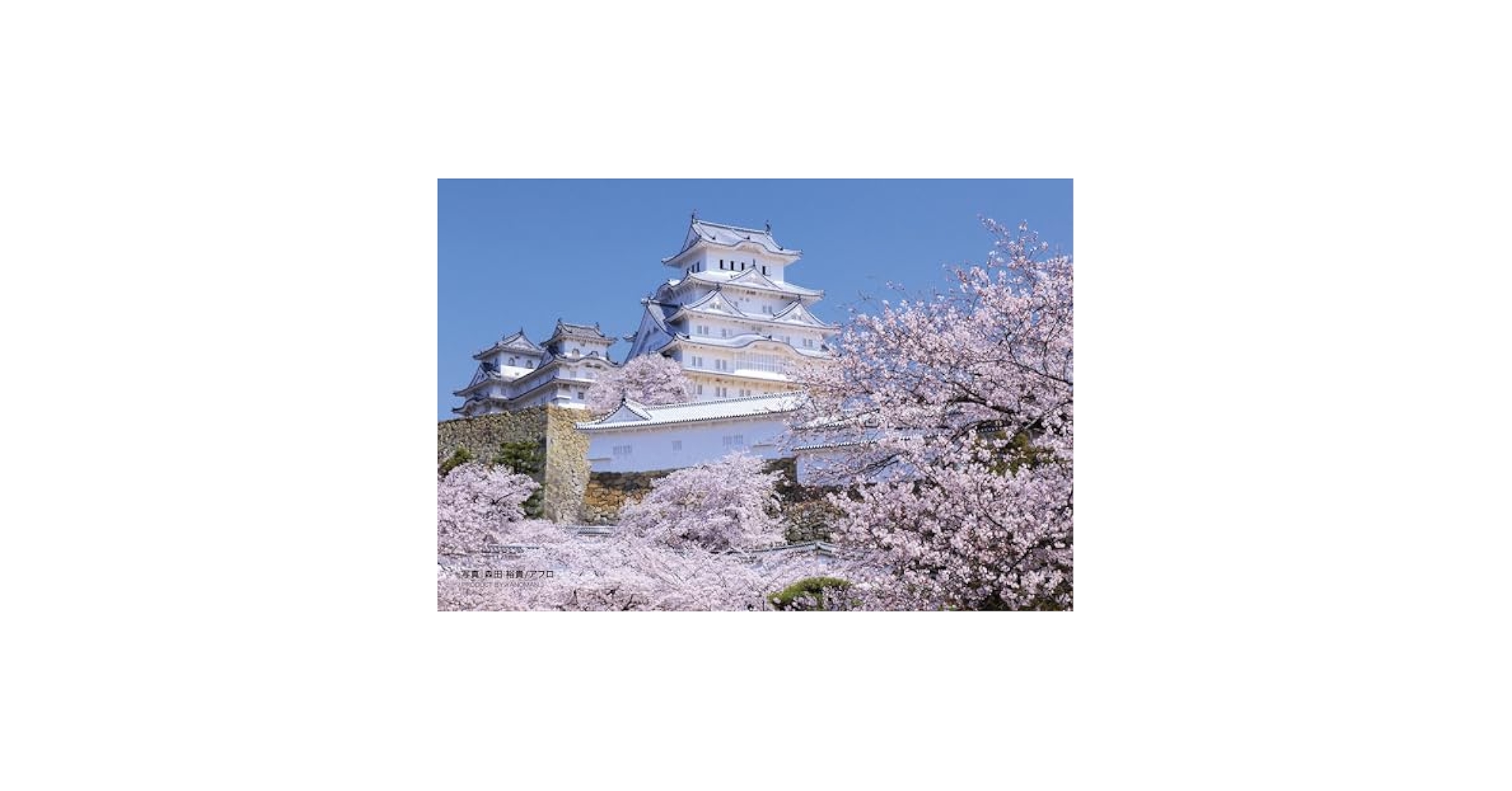 ハロルド アルトマン マロニエのある公園 インテリア アート 額縁 Amazon.co.jp: ミケランジェロ最後の審判キャンバス絵画リビング