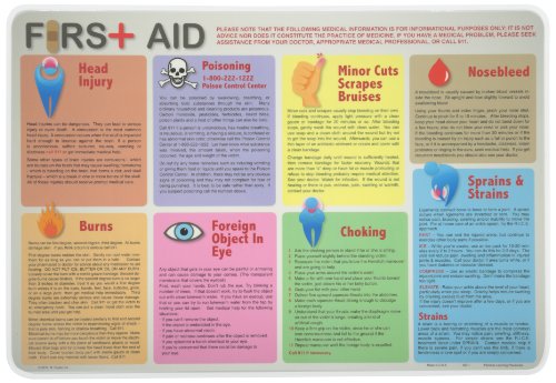 Best Cyber Monday 🔥 Painless Learning First Aid Placemat