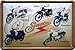 Produktbild WOGEKA ART Retro Blechschild - DDR Moped Vogel-Serie: SCHWALBE, STAR, SPATZ, HABICHT, SPERBER - Deko Schild als Geschenkidee für SIMSON Fans zu Geburtstag Weihnachten 20x30 cm Metallschild 856