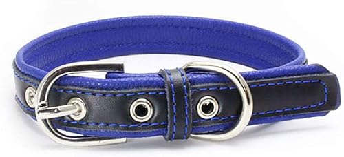 Miniatura 10 de Love Dream Collar de piel acolchada para perro, 6 colores, resistente y ajustable, para perros pequeños, medianos y grandes, Rojo