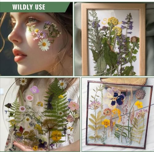 Image of 204 Pcs Dried Pressed Flowers for Resin Crafts, Real Natural Pressed Flowers and Leaves Kit Butterfly Stickers Vacuum Sealed Dry Flowers for DIY Epoxy Resin Jewelry Molds, Candle Soap Making, Nail Art
