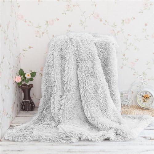 Image of Shaggy Faux Fur Fabric, Super Soft, 6 X 5 Feet (White)
