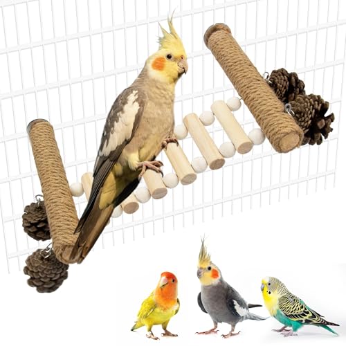 Jevnd Heavy-Duty Wood Bird Ladder Platform, Edible Bird Perches for Cage with Pinecones Chew Toys, Natural Hanging Parrot Perch Bridge, Climbing Play Stand for Parakeet Conure Cockatiel Budgie Quaker - image 7