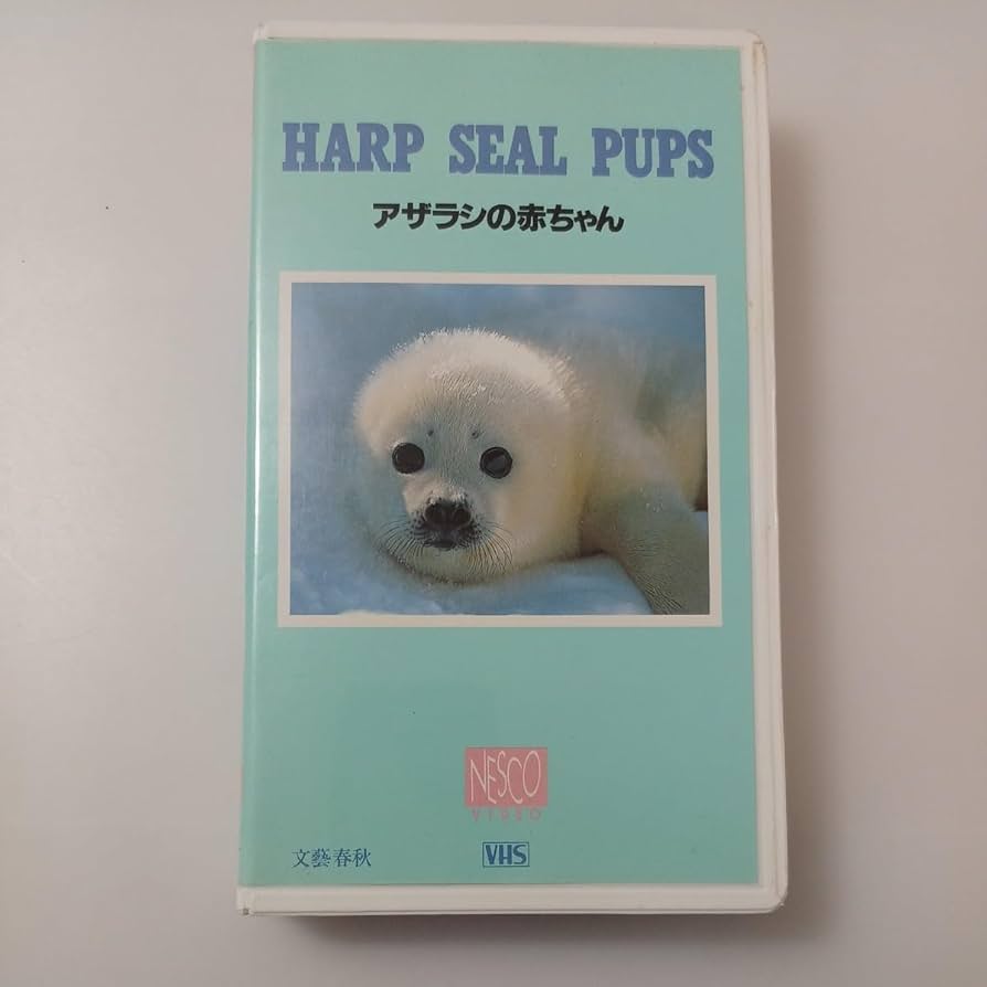 Amazon.co.jp: zvd-20♪アザラシの赤ちゃん 文藝春秋 1991/04