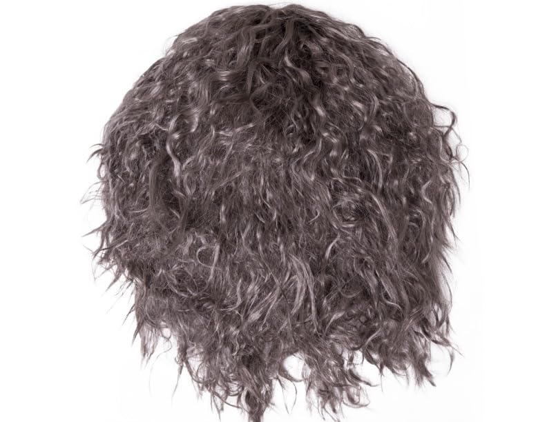 Happy Hippo Long, Gray Wizard Wig and Beard Set: Halloween Costume Wig For Men; Merlin; Mens Wig, Wigs For Men